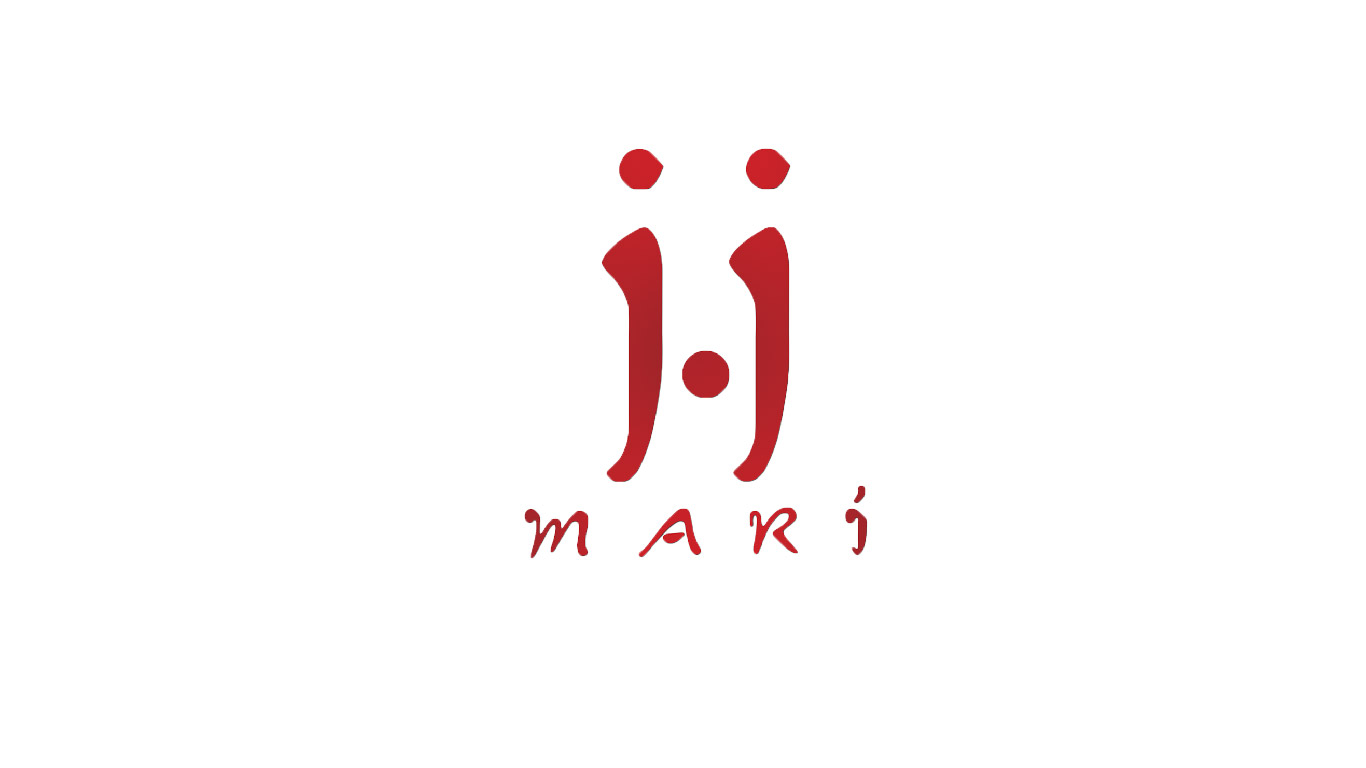 JJ MARI MUDANZAS TRANSPORTES INTERNACIONALES 